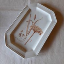 Gallo leonardo coriander gebraucht kaufen  Steinwiesen
