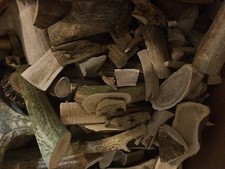 Dog chews elk for sale  Tendoy