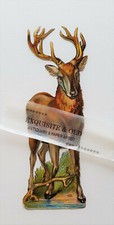 1900 hirsch rotwild gebraucht kaufen  Gießen
