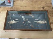 Taxidermy pike case for sale Taxidermy pike case for sale  STEVENAGE