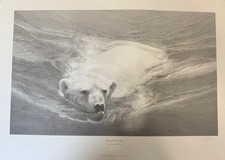 Gary hodges swimming for sale  RUGBY