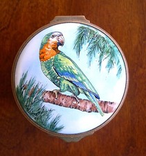 Rare bahamas parrot for sale  Fort Lauderdale