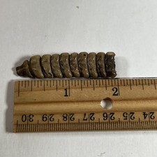 Vintage rattlesnake rattle for sale  Springfield