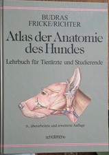 Atlas anatomie hundes gebraucht kaufen  Nümbrecht