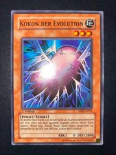 Kokon cocoon der usato Kokon cocoon der usato  Italia