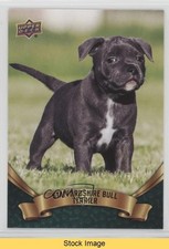 2018 canine collection for sale  Auburn