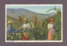 Portugal - Pinhao - Les Vendanges (L314) comprar usado  Enviando para Brazil
