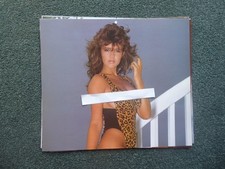 Gail mckenna calendar for sale  UK