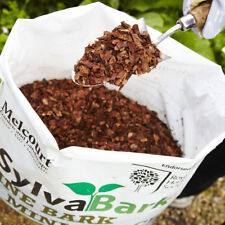 Pine bark mini for sale  BRAINTREE