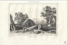 Stampa antica nettuno usato  Lecco
