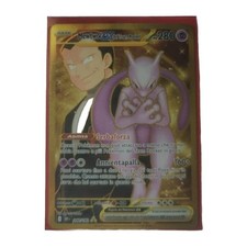 Mewtwo del team usato  Sant Alessio con Vialone