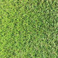 Rare empire zoysia d'occasion  Expédié en Belgium