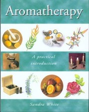 Aromatherapy practical introdu for sale  UK