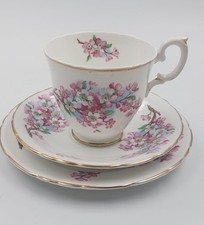 Tazza tè con usato  Lucca