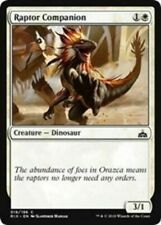 Raptor companion rivals for sale  PONTEFRACT