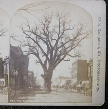 W.h. jackson stereoview for sale  Moultrie