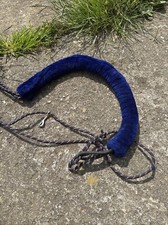 Pessoa lunging aid for sale  DARLINGTON
