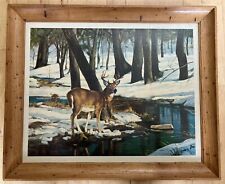 Vintage white tail for sale  Idaho Springs