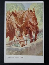 Heavy shire horse for sale  UK