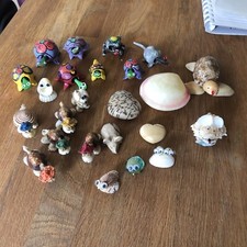 Lot shell art for sale  SHEFFIELD