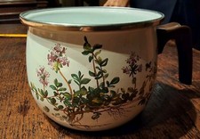 Botanica villeroy boch usato  Genova