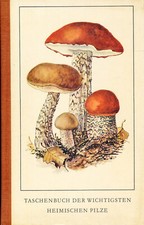 Bickerich stoll taschenbuch gebraucht kaufen  Leipzig