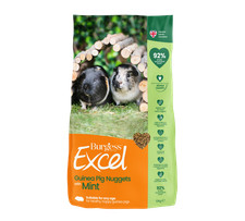 Burgess excel adult for sale  STRATFORD-UPON-AVON