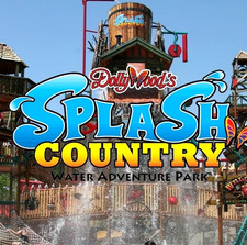 Dollywood splash country for sale  USA