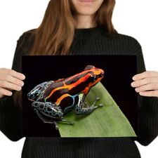Poison dart frog for sale  SELBY