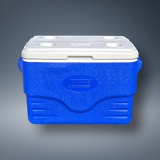 2004 coleman cooler for sale  Leonard