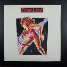 Tina turner tina gebraucht kaufen  Altmannstein