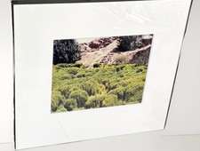 Alta tingle framed for sale  San Francisco