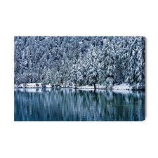 Obraz na płótnie Zima Fotografia Śnieżny las nad jeziorem  Premium Canvas na sprzedaż  PL