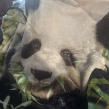 panda blanket for sale panda blanket for sale Elizabethtown