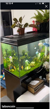 Aquarium meuble double d'occasion  Plozévet
