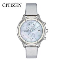 Citizen Eco-Drive relógio feminino prata aço inoxidável cronógrafo mostrador comprar usado  Enviando para Brazil