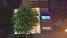 Guppy grass riccia for sale  SOUTH CROYDON