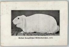 13185465 weisses franzoes gebraucht kaufen  Deutschland