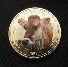 2024 jersey cow for sale  HEMEL HEMPSTEAD