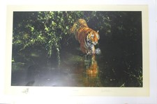 Limited edition jungle for sale  ROMFORD