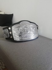 wwe belt gebraucht kaufen  Ilmenau-Gehren, Möhrenbach, Jesuborn