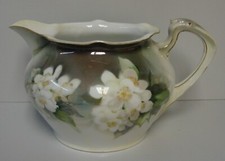 Prussia dogwood flower for sale  Columbia