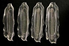 Set corn cob for sale  Mcminnville