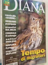 Diana 1999 caccia usato  Salerno