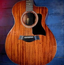 Taylor 224ce special for sale  DUNGANNON