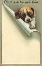 Animals dogs sleeping d'occasion  Expédié en Belgium