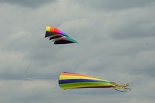 Einleiner drachen xxl gebraucht kaufen Einleiner drachen xxl gebraucht kaufen  Leinfelden-Echterdingen