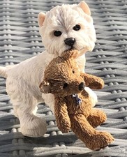 westie terrier for sale westie terrier for sale BOOTLE