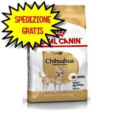 Royal canin cane usato  San Felice Circeo