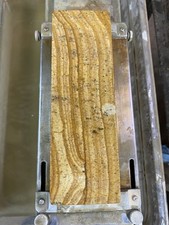 Amakusa red type for sale  Stillwater